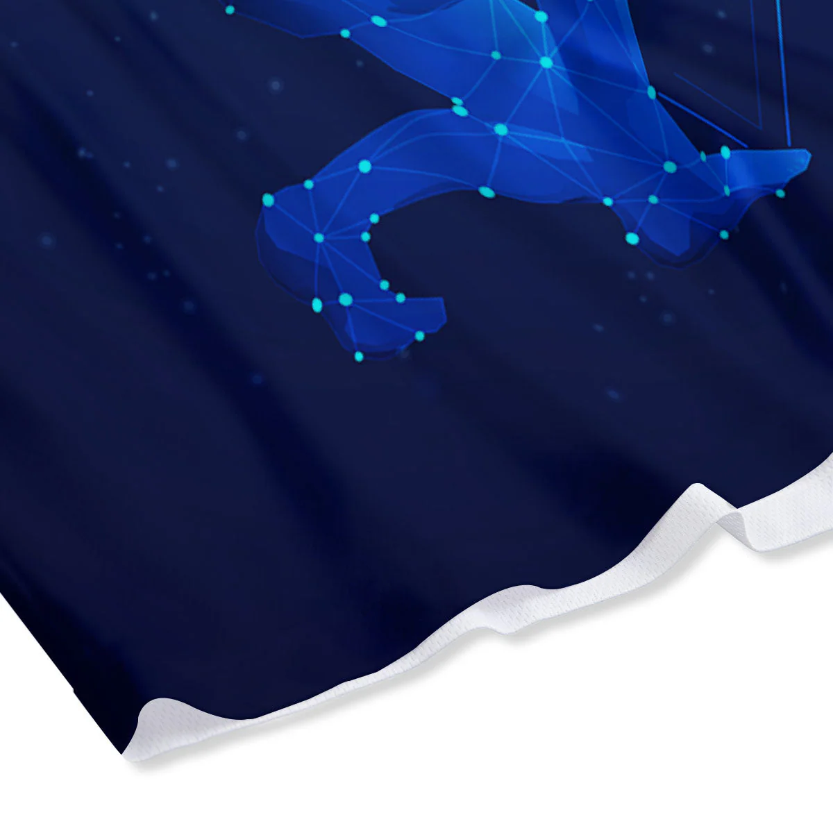 Astrological And Aquarius Signs Print Mesh Shorts - Image 4