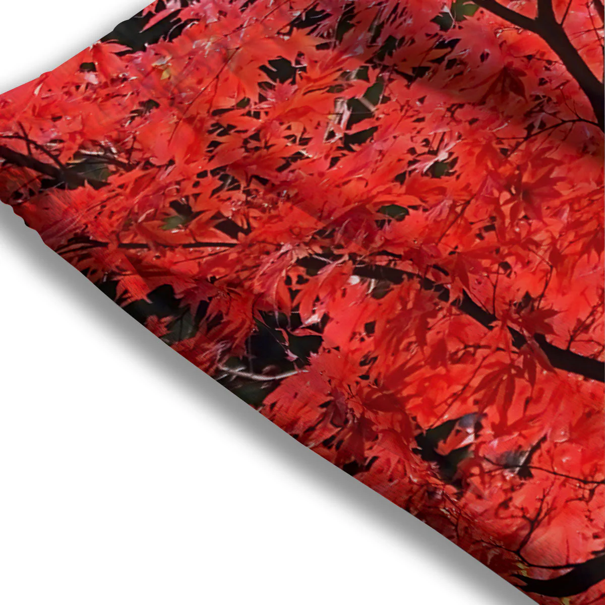 Autumn Trees Red Print Mesh Shorts - Image 3