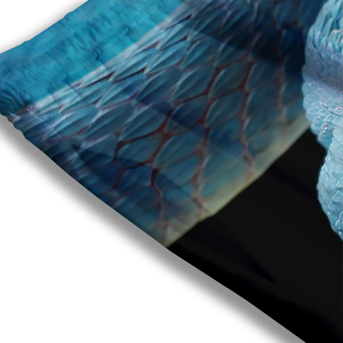 Blue Scary Viper Snake Print Mesh Shorts - Image 3