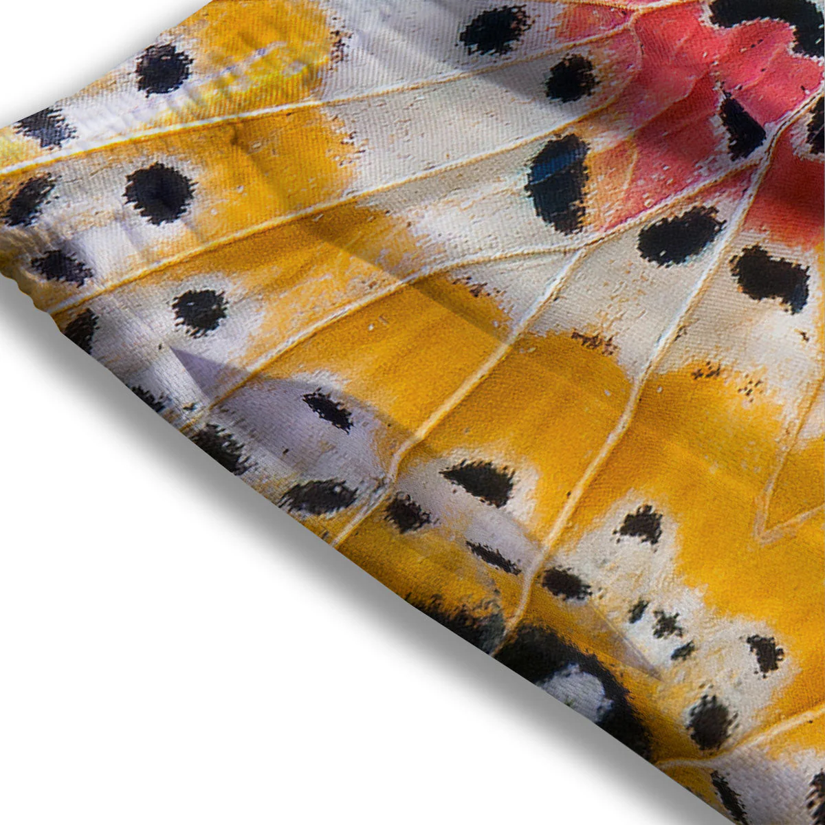 Butterfly Wings Orange Monarch Print Mesh Shorts - Image 3