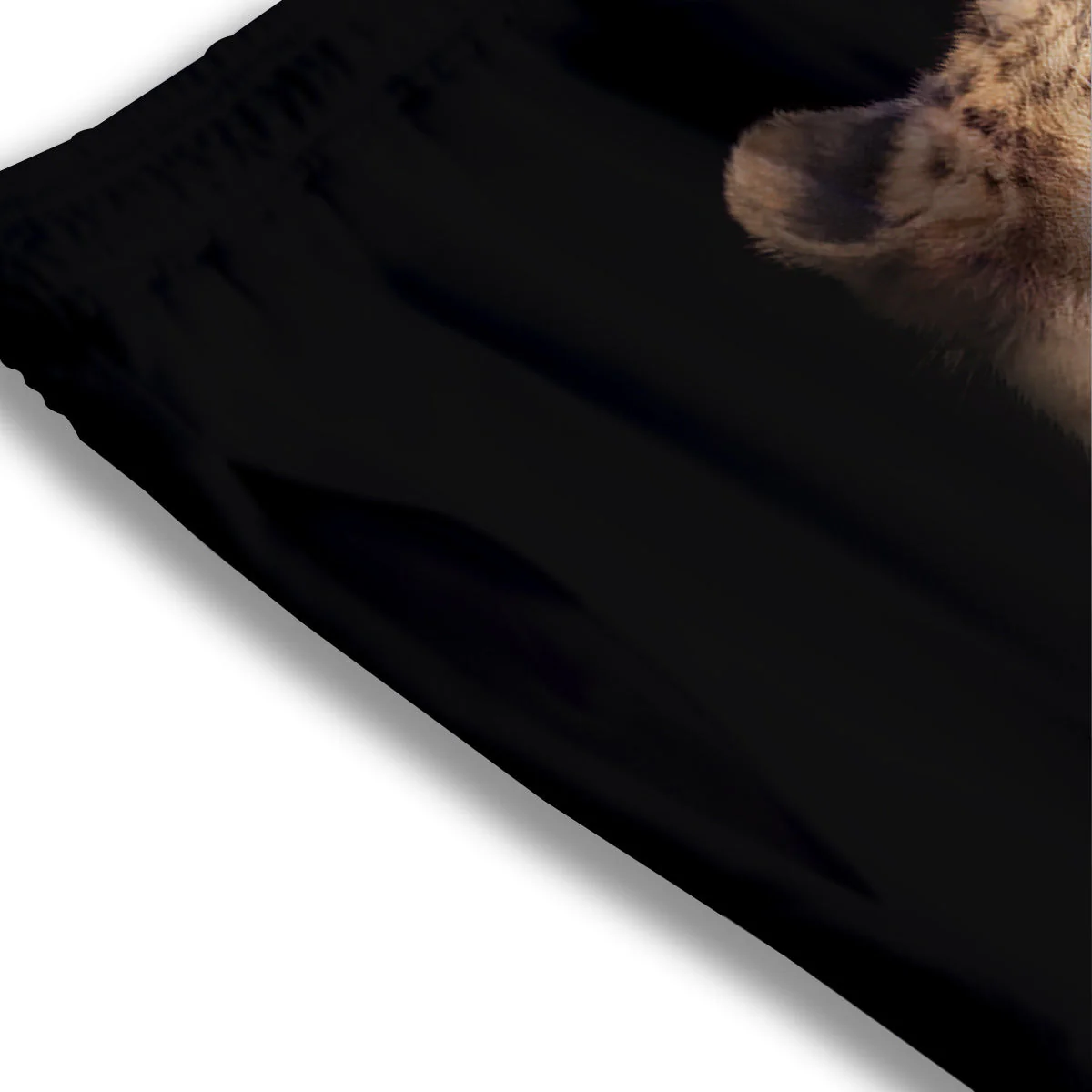 Cheetah Print Mesh Shorts - Image 3