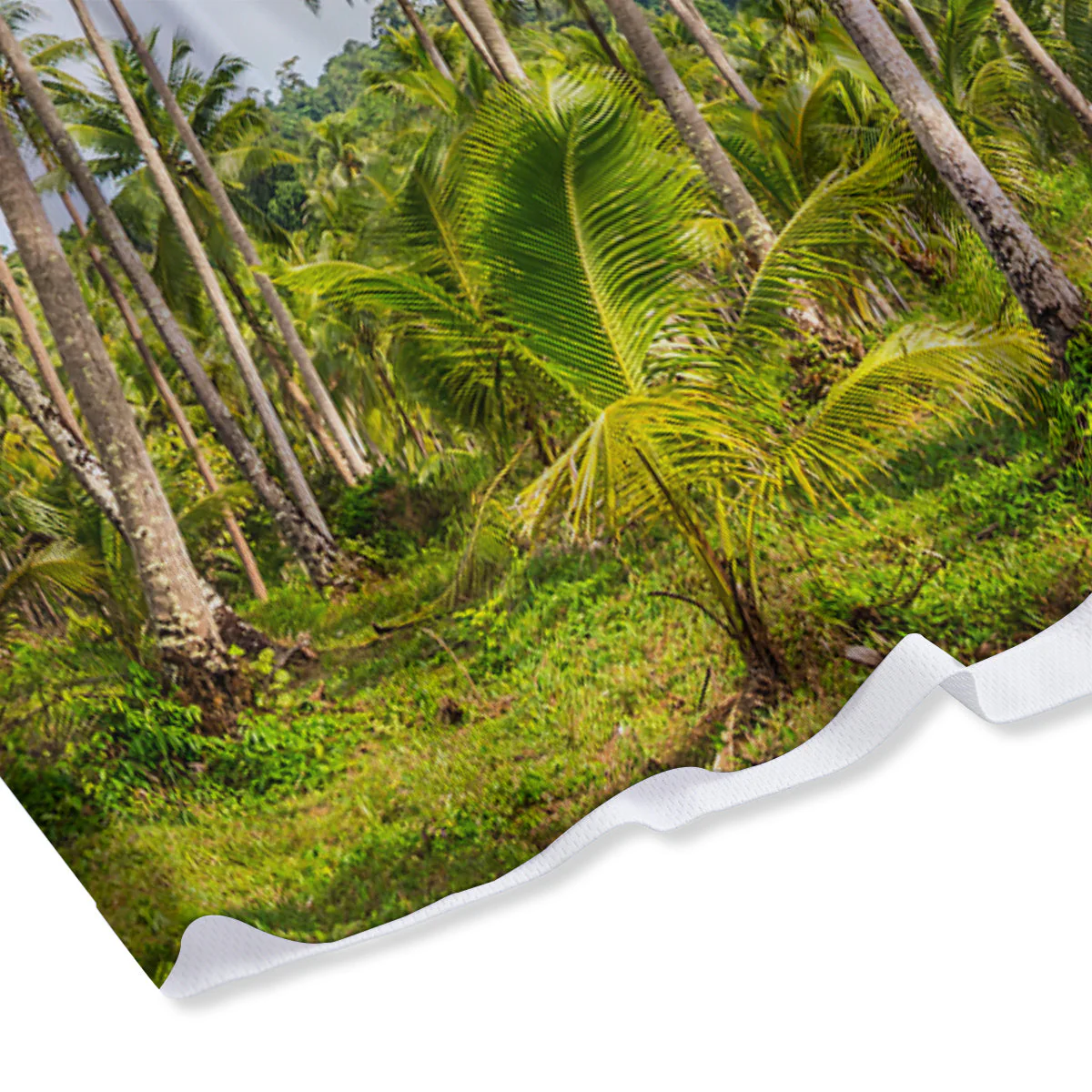 Coconut Tree Print Mesh Shorts - Image 4