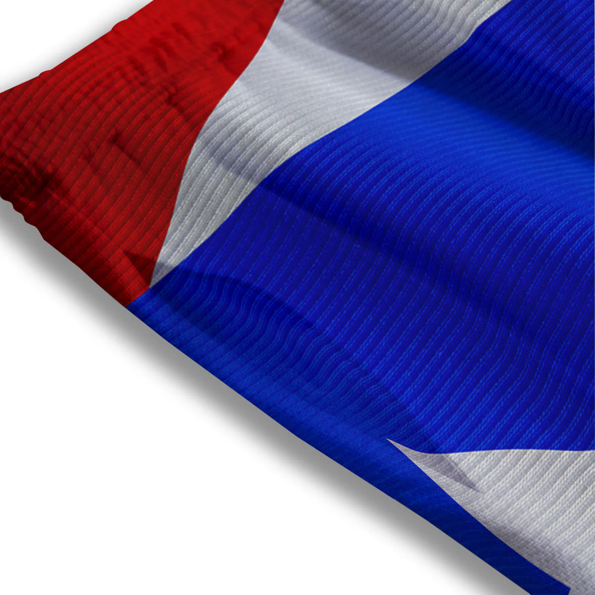 Flag Puerto Rican Print Mesh Shorts - Image 3