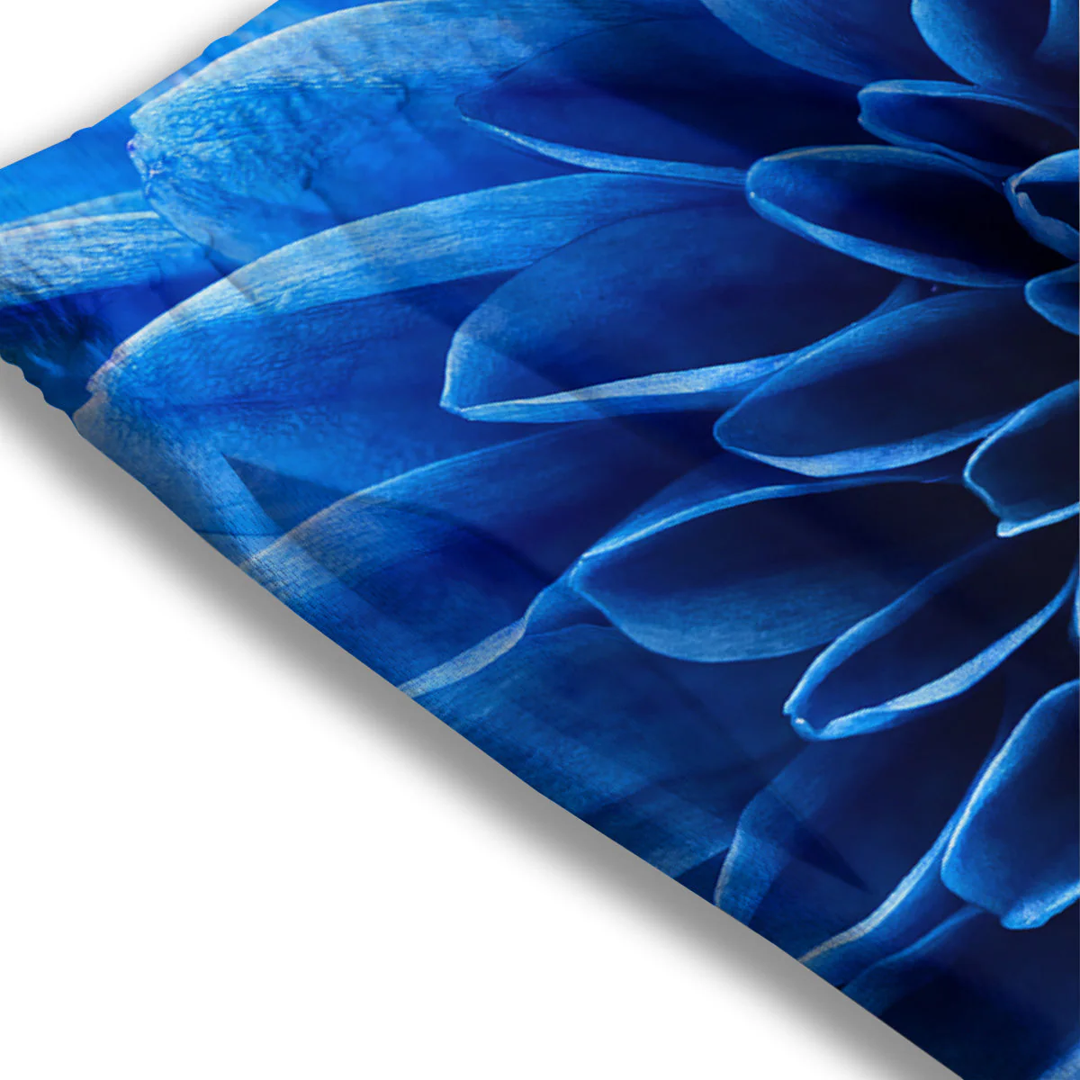 Flower Blue Chrysanthemum Print Mesh Shorts - Image 3