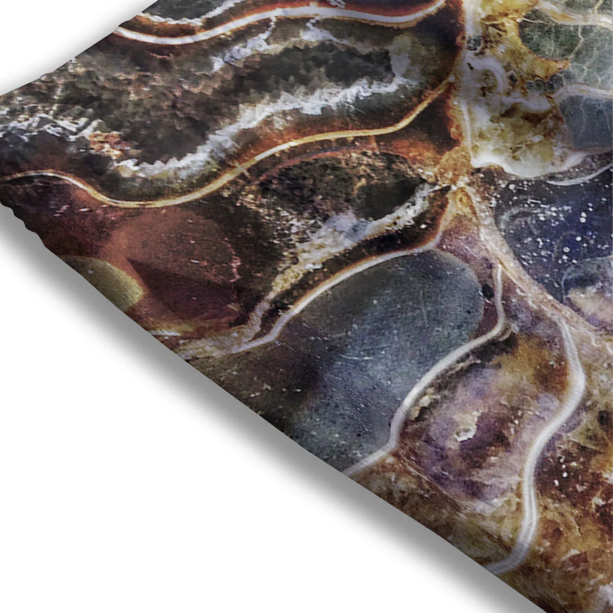 Fossil Ammonite Print Mesh Shorts - Image 3