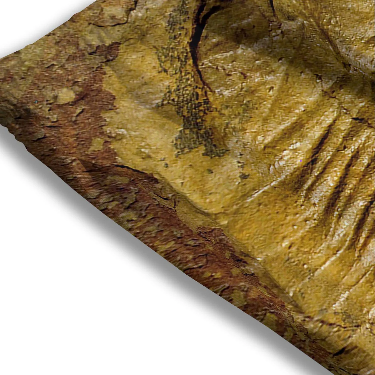 Fossil Trilobite Print Mesh Shorts - Image 3