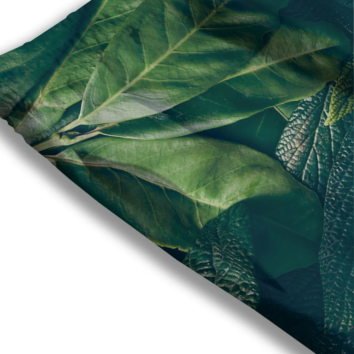 Green Leaves Print Mesh Shorts - Image 3