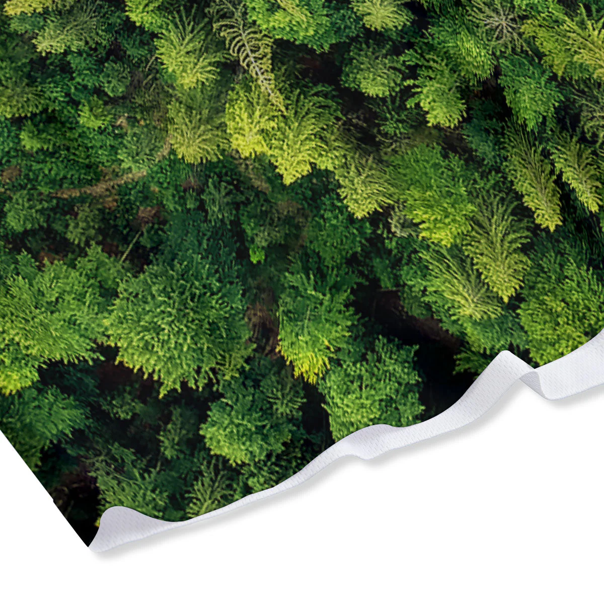 Green Pine Summer Forest Print Mesh Shorts - Image 4