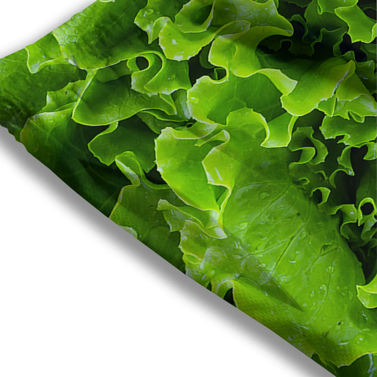 Lettuce Green Leaves Print Mesh Shorts - Image 3