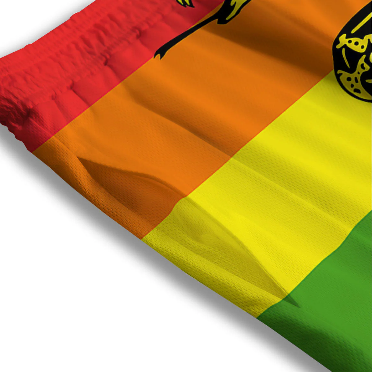 LGBT Gadsden Rainbow Flag Print Mesh Shorts - Image 3