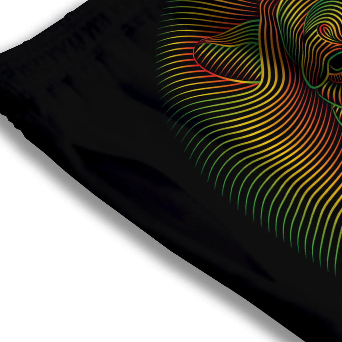 Lion Rasta Print Mesh Shorts - Image 3