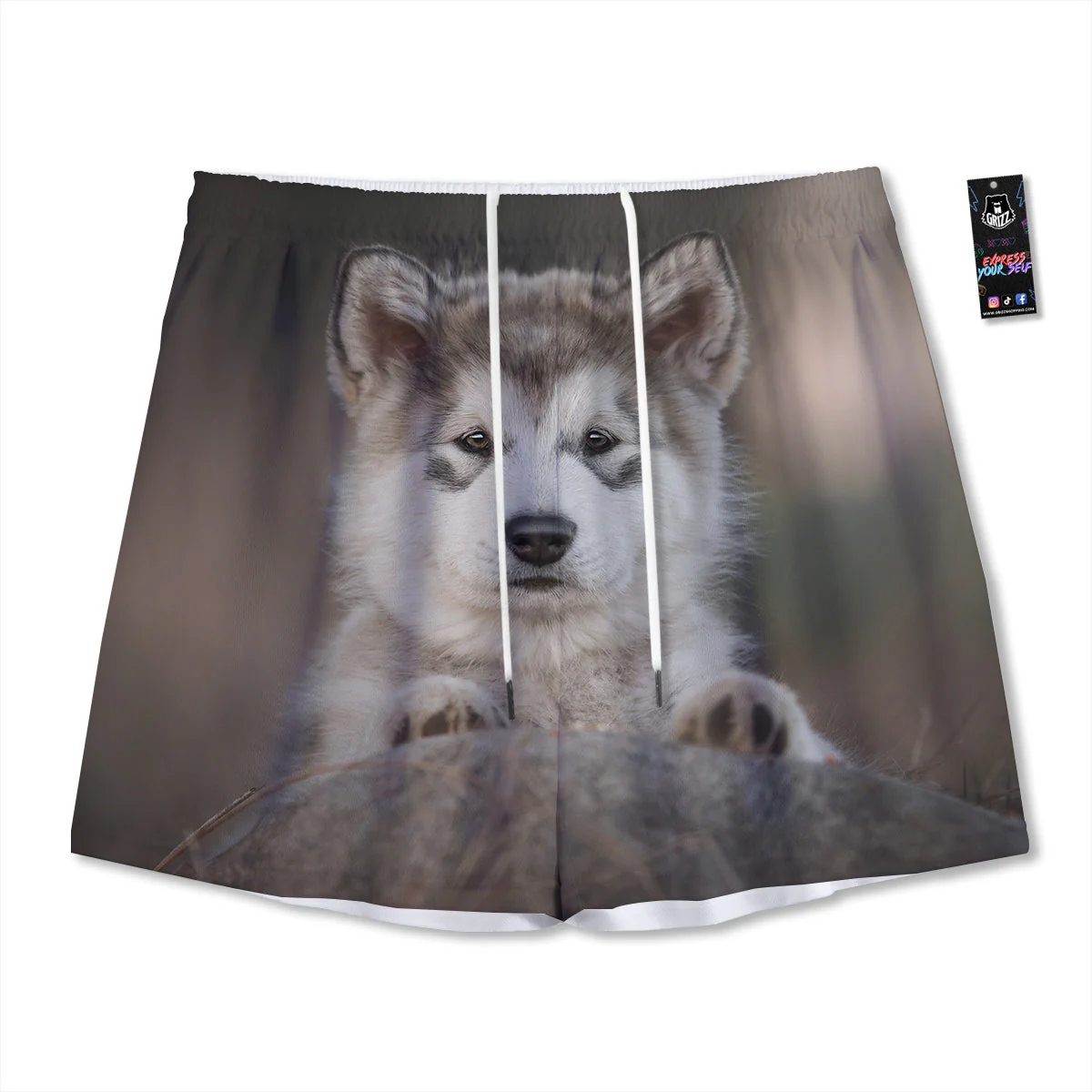 Malamute Alaskan Cute Print Mesh Shorts