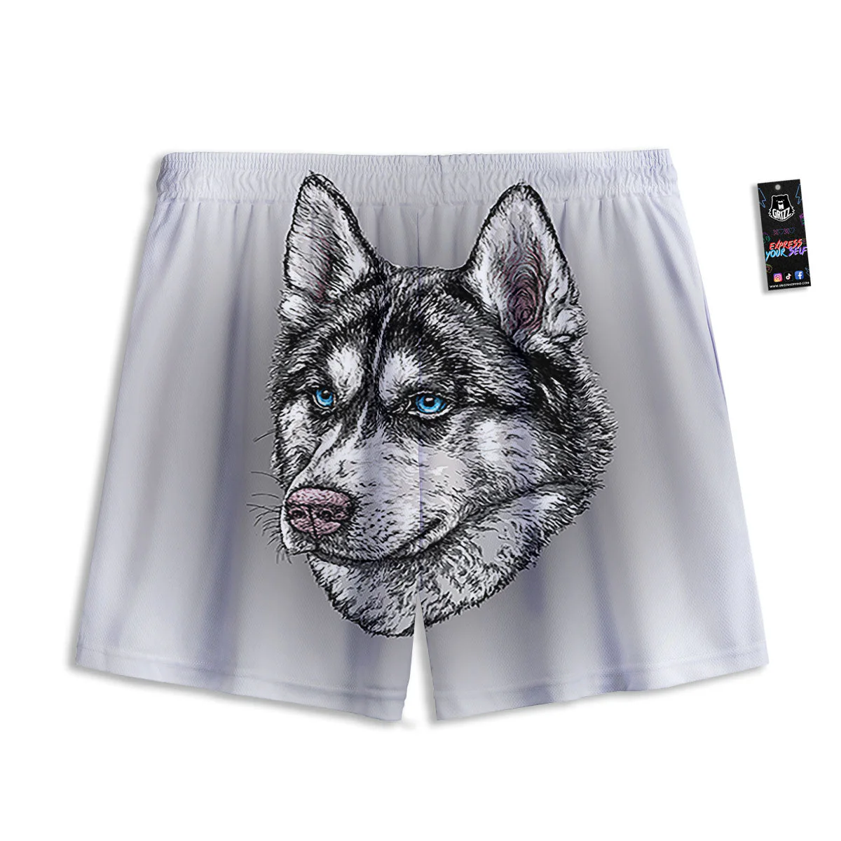 Painting Alaskan Malamute Print Mesh Shorts - Image 2