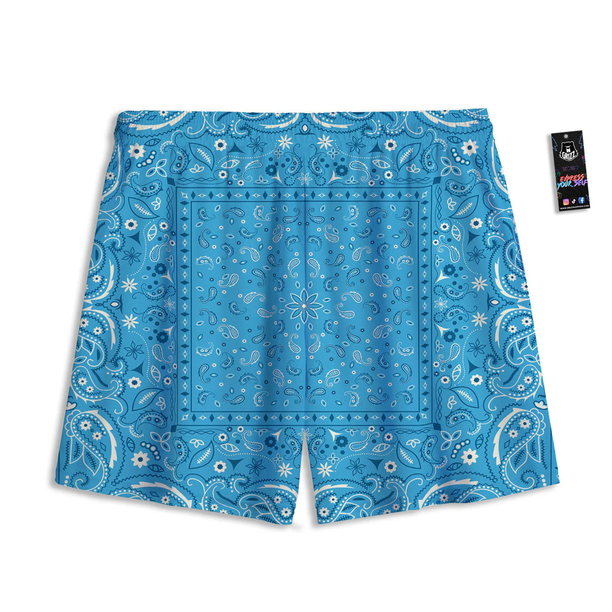 Paisley Bandana Light Blue Print Mesh Shorts - Image 2