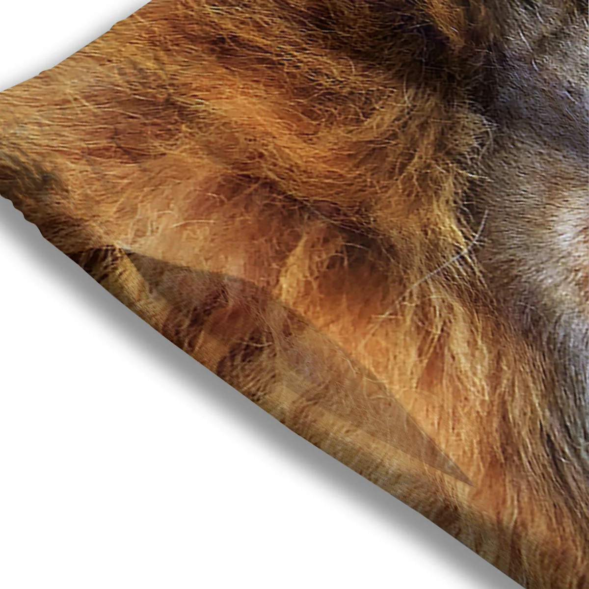Portrait African Lion Print Mesh Shorts - Image 3