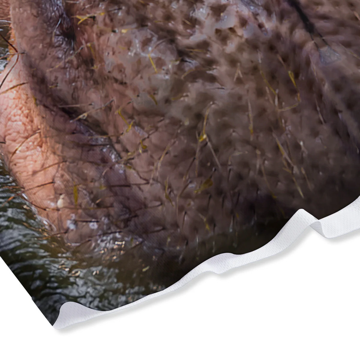 Portrait Hippo Print Mesh Shorts - Image 4