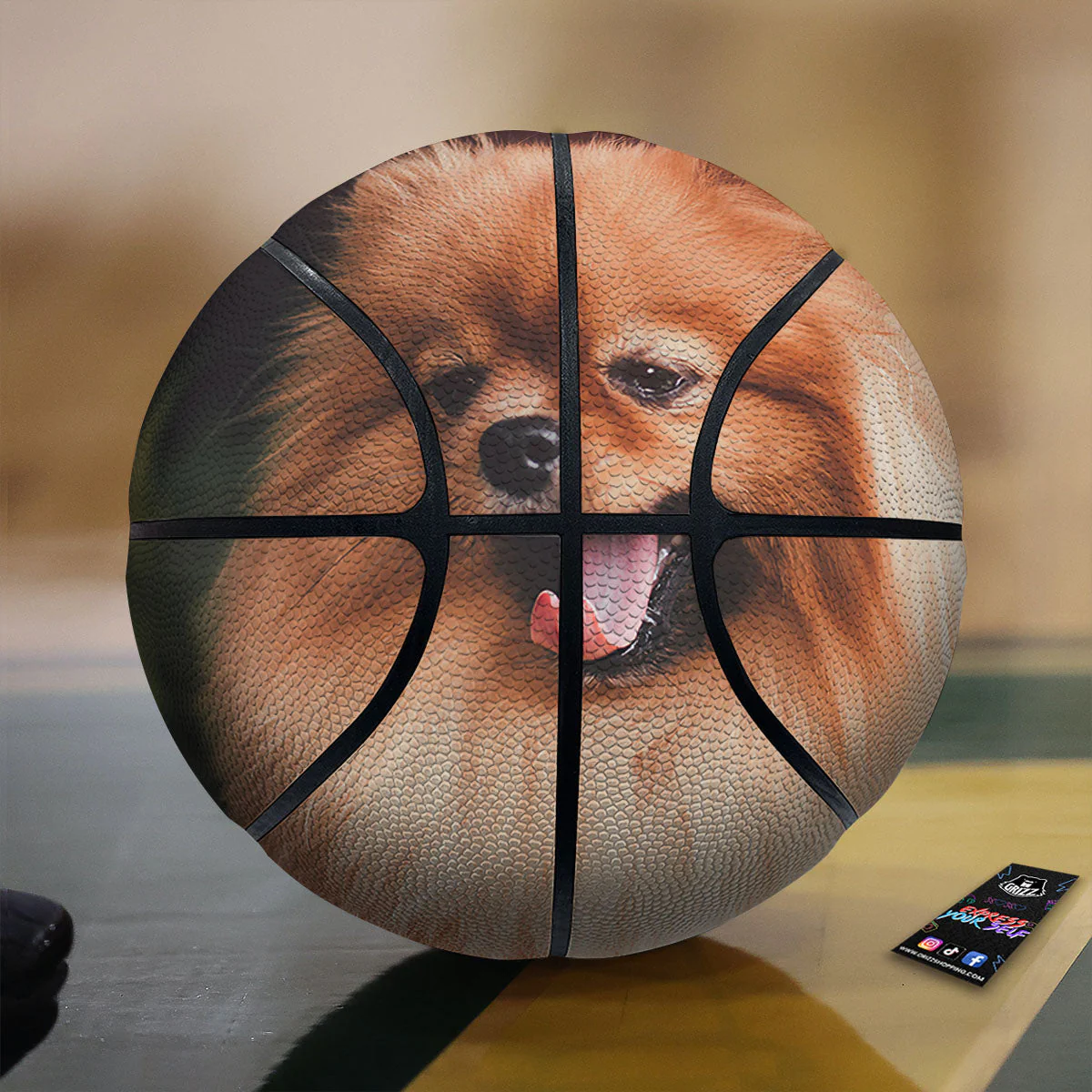 Portrait Vintage Pomeranian Basketball