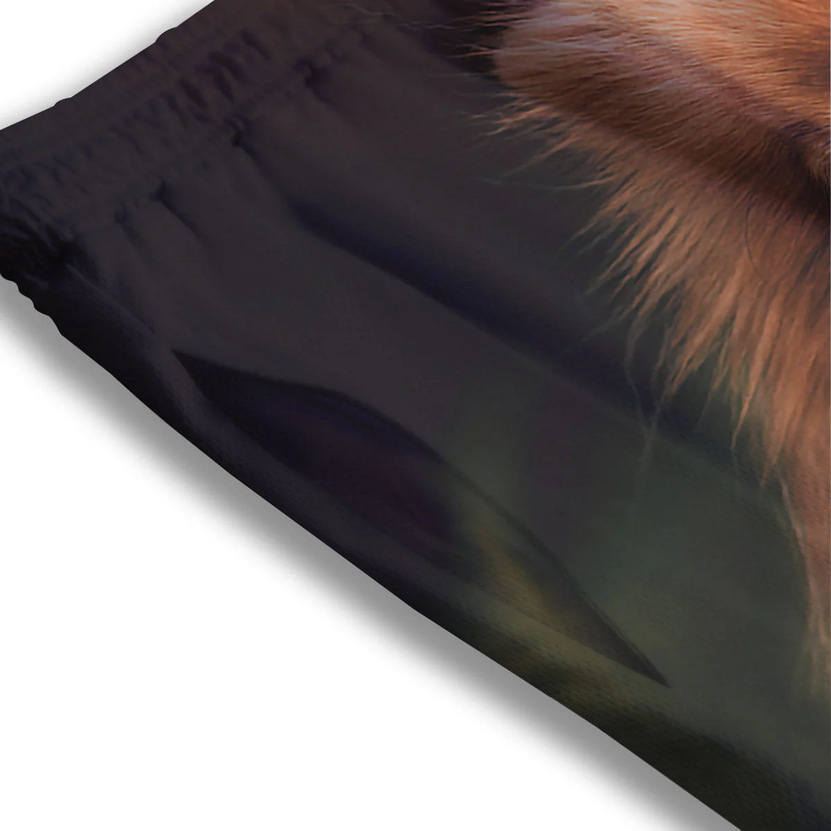 Portrait Vintage Pomeranian Mesh Shorts - Image 3