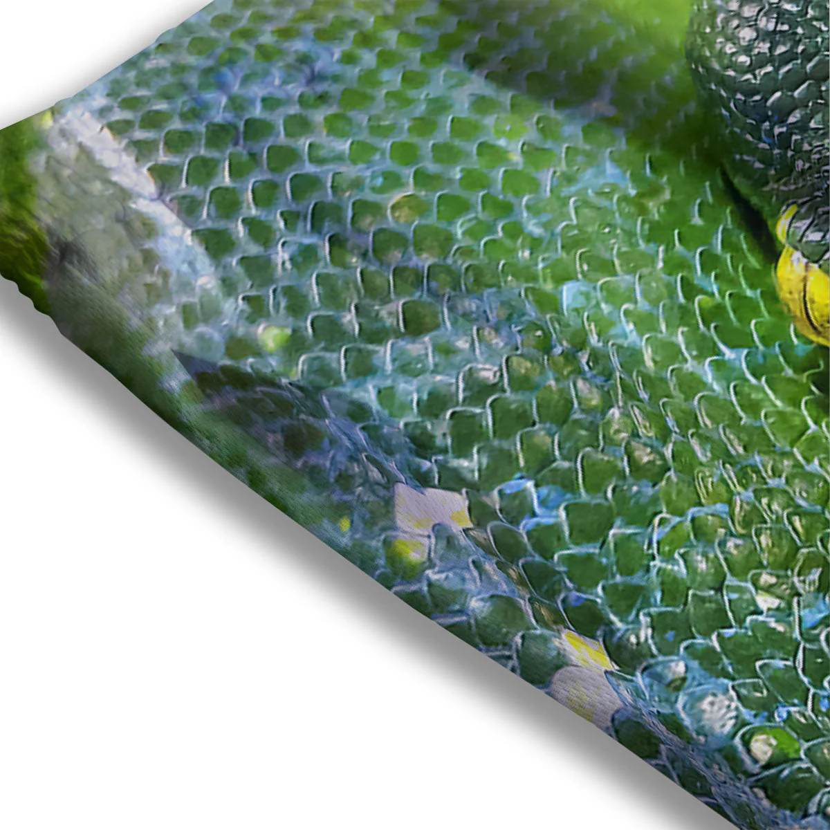 Python Snake Green Reticulated Print Mesh Shorts - Image 3