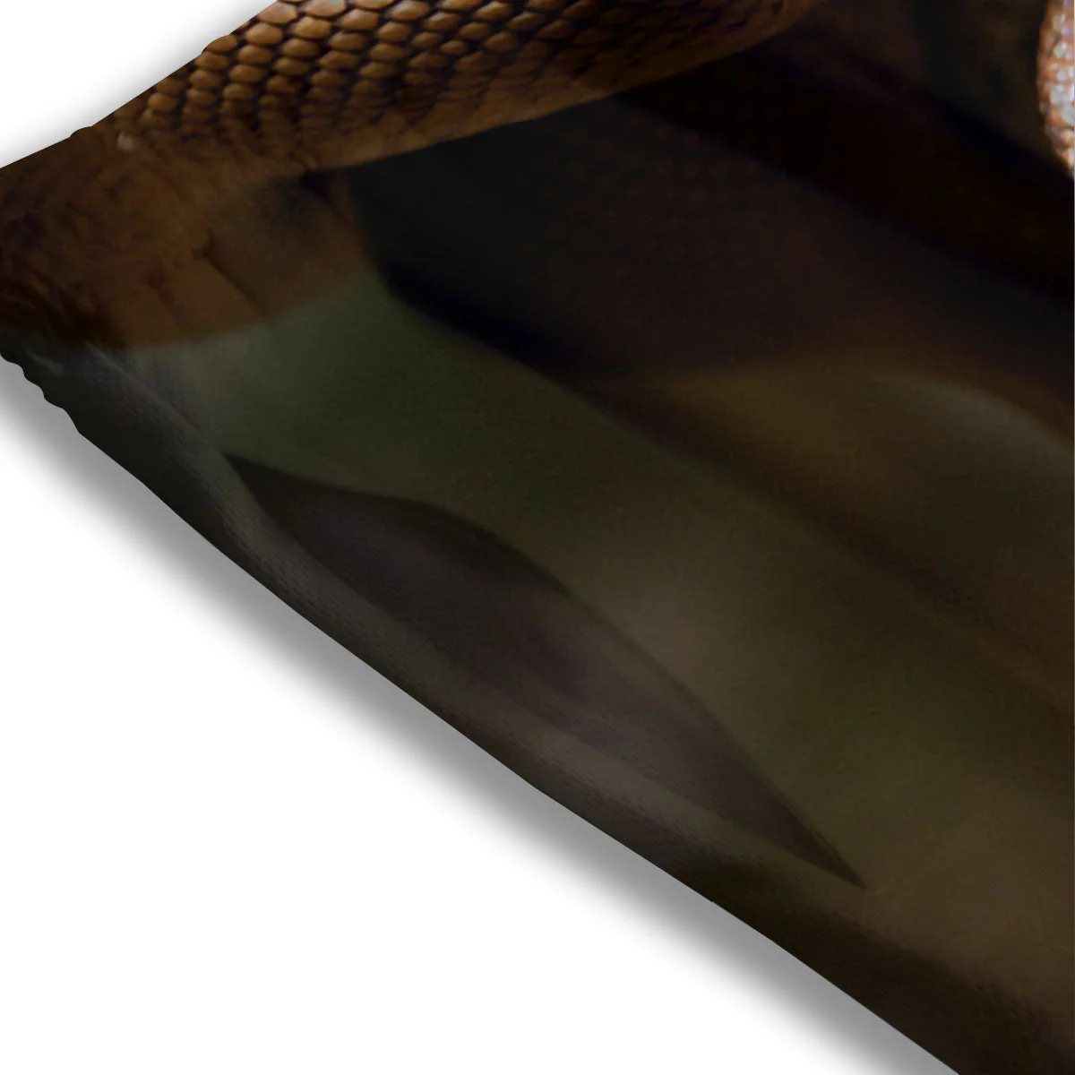 Snake Leiopython Print Mesh Shorts - Image 3
