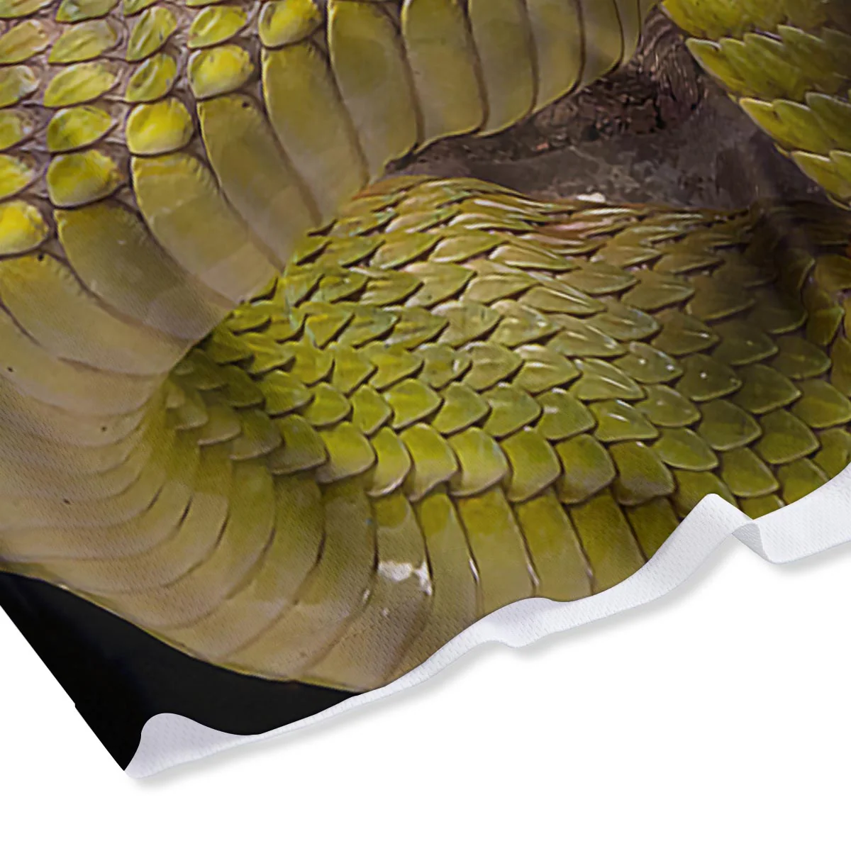 Snake Trimeresurus Albolabris Print Mesh Shorts - Image 4